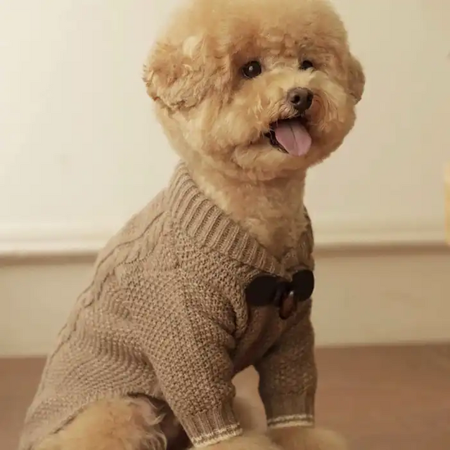 Simple Dog Pet Sweater