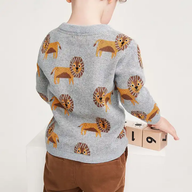 Boys Casual Sweater