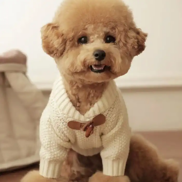 Simple Dog Pet Sweater