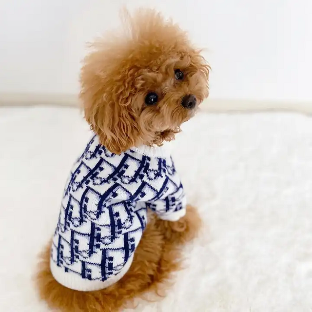New Clothes for Pet Dogs