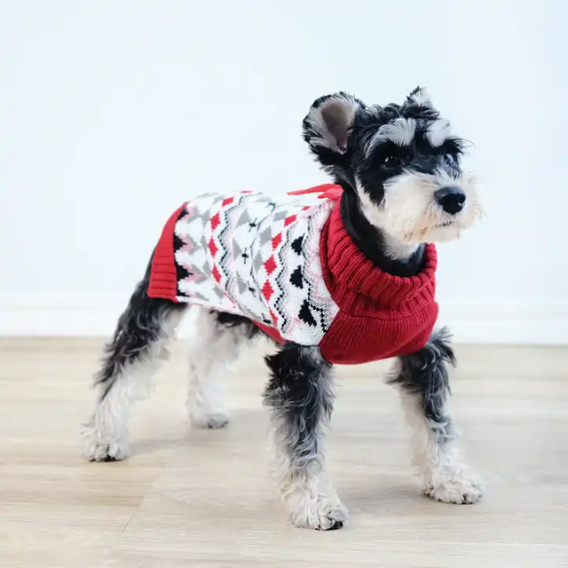 Bowknot Dog Lapel Sweater