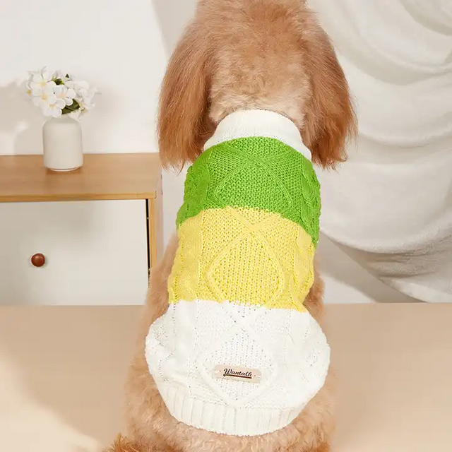 Jumper Dogs Sweater