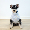 Warm Dog Lapel Sweater