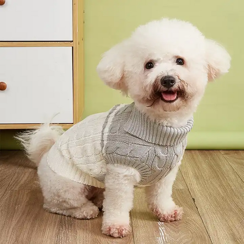 Knit Jumper Dog Sweater