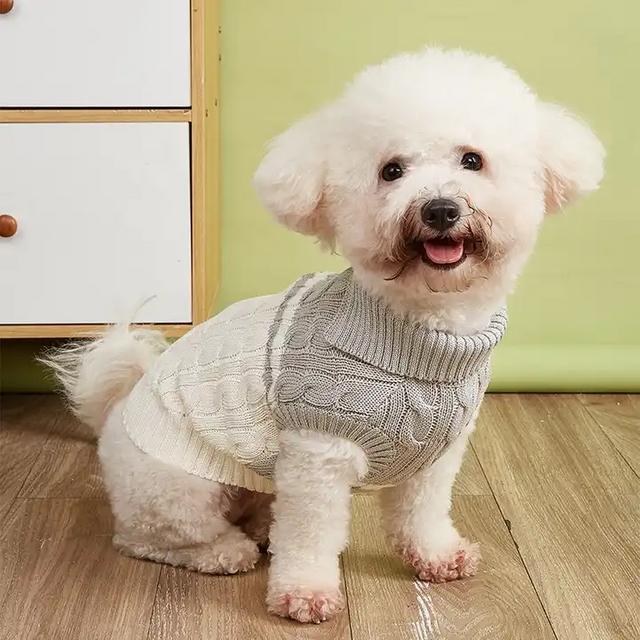 Knit Jumper Dog Sweater