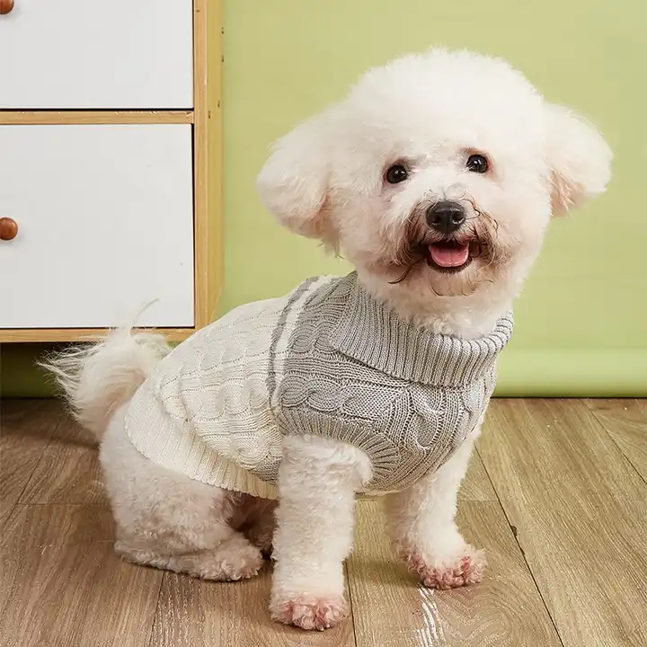 Pull pour chien en tricot