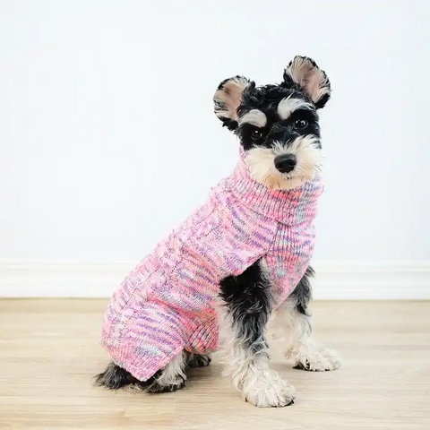 Warm Dog Lapel Sweater