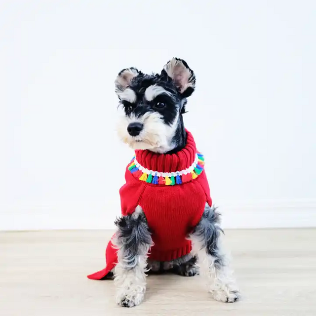 Stylish New Pet Sweater