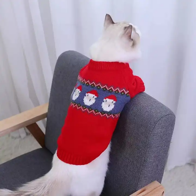 Jumper Cat Knitted Sweater