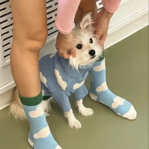 Blue Cute Pet Sweaters