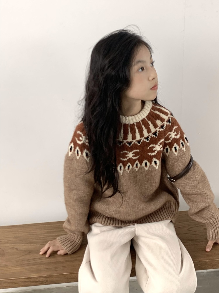 Jacquard Brown Sweater