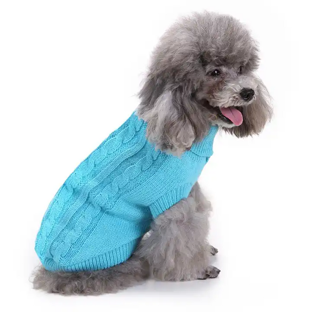  Soft Big Dog Sweaters