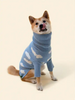 Blue Cute Pet Sweaters