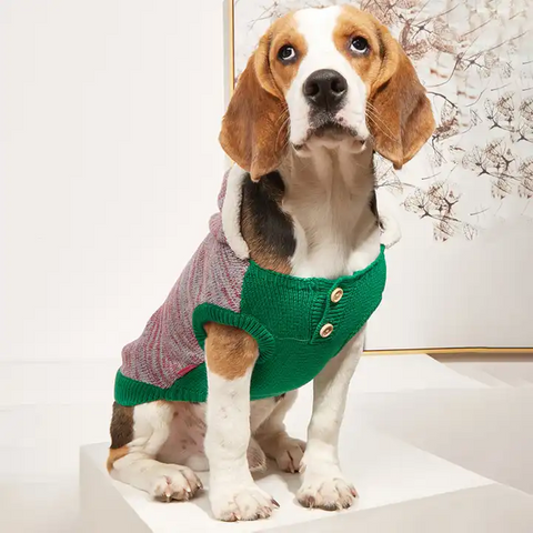 Cotton Knitting Dog Sweater