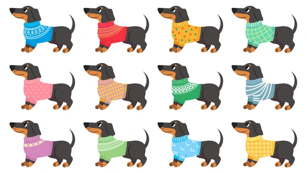 dachshund clothes dogs wear trendy 600nw